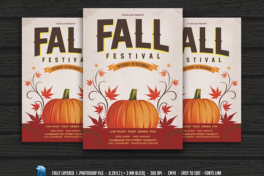 秋季南瓜万圣节派对宣传单设计模板 Fall Festival插图