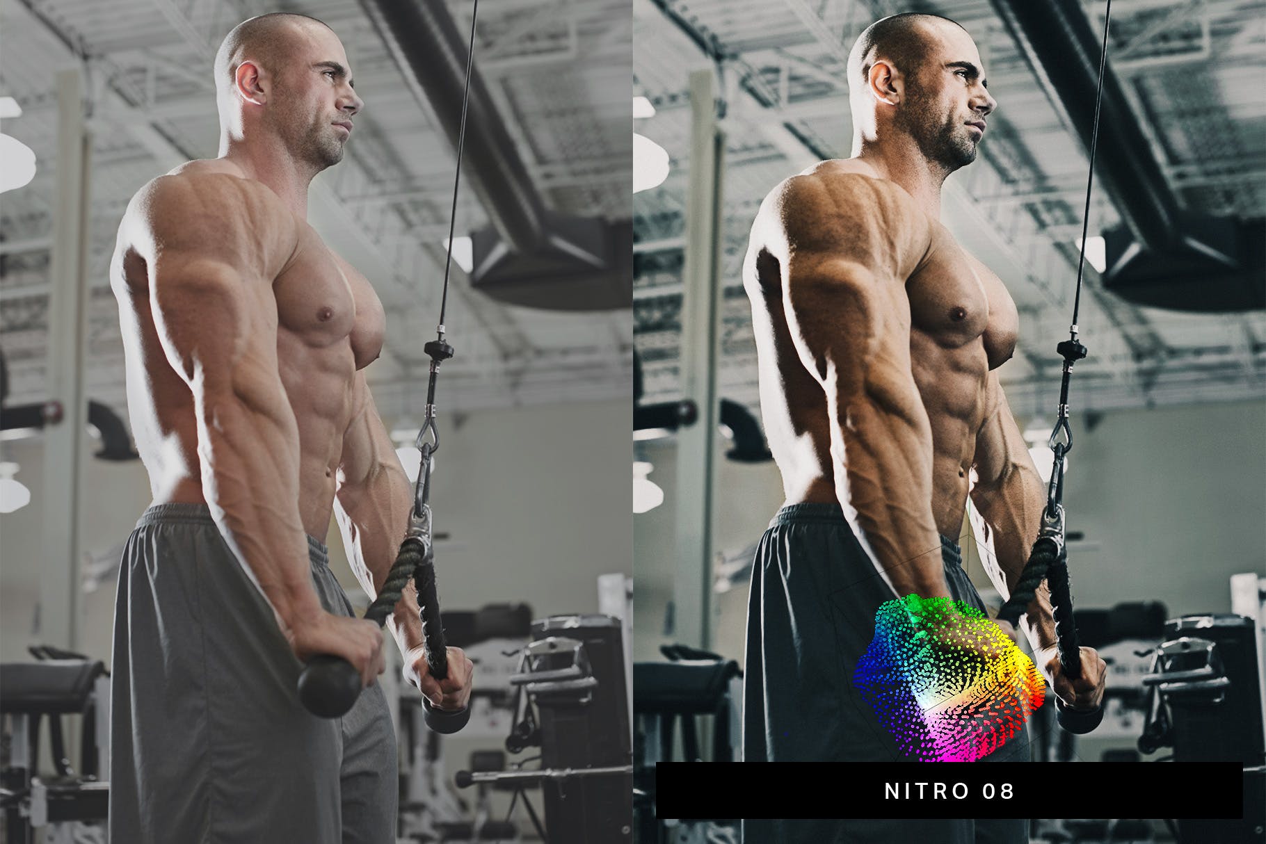 50款精美的健身健美摄影LR调色预设 50 Bodybuilding Lightroom Presets插图(3)