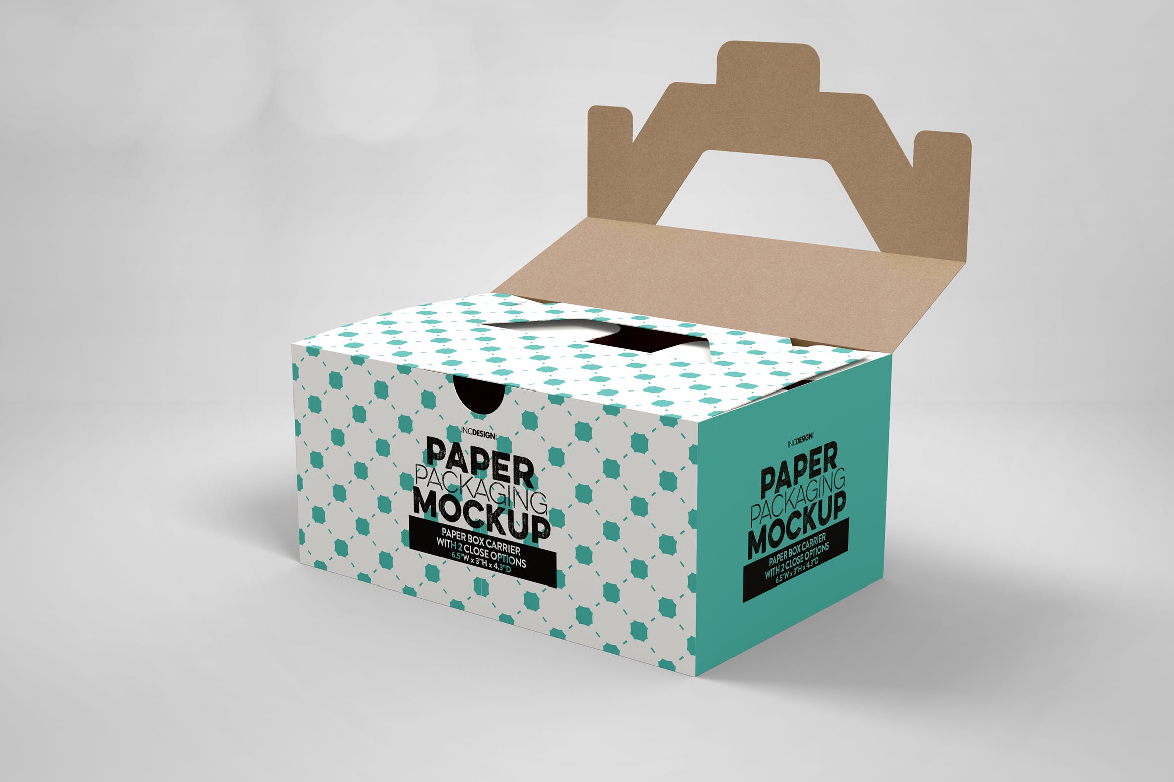 产品包装纸箱设计效果图样机 Paper Carrier with 2 Closure Options插图