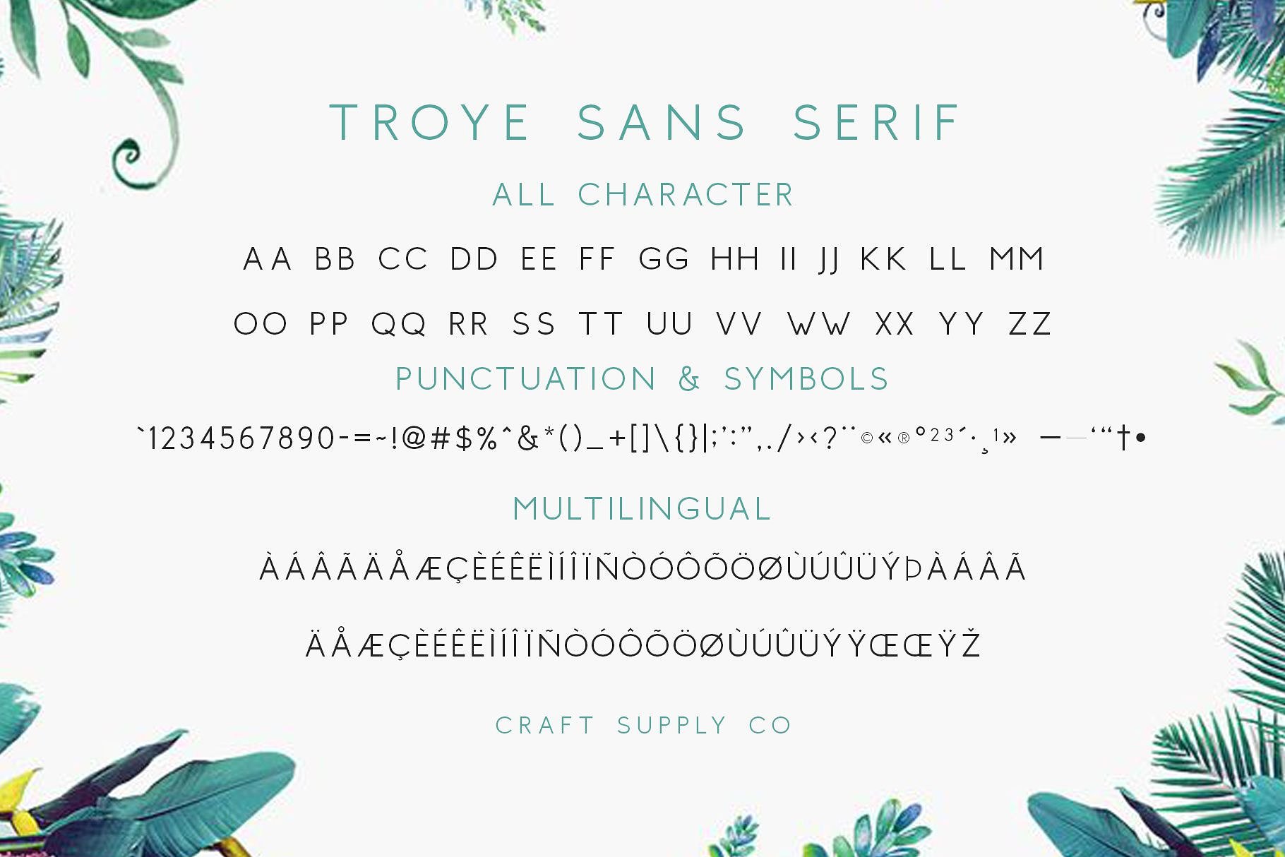 干净&奢华的特洛伊字体三重奏 Troye Font Trio [jpg,otf,ttf]插图(11)