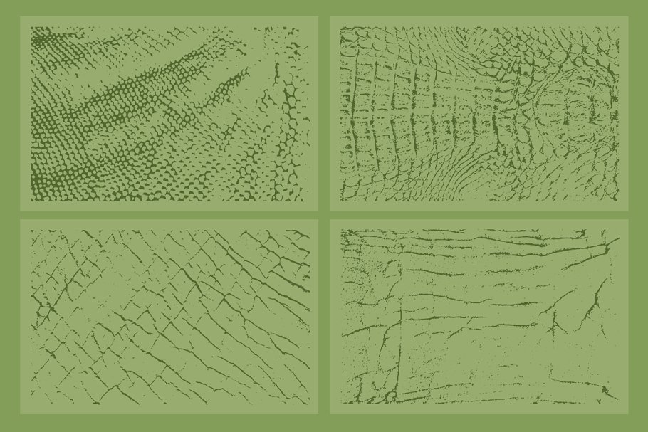 20种动物皮肤纹理 20 Animal Skins Textures – VES11插图(3)