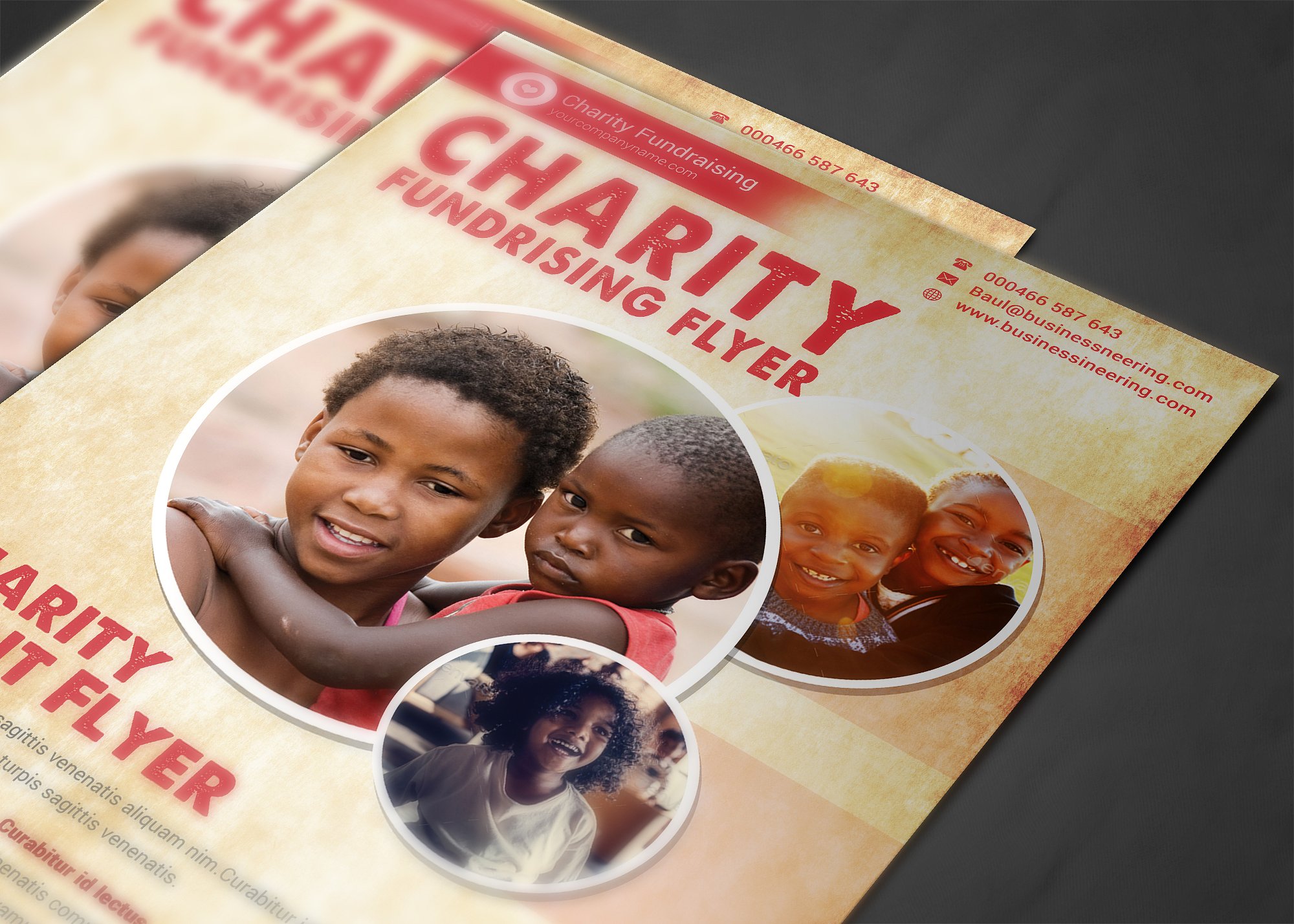 慈善机构宣传单模板 Charity Flyer Templates插图(3)