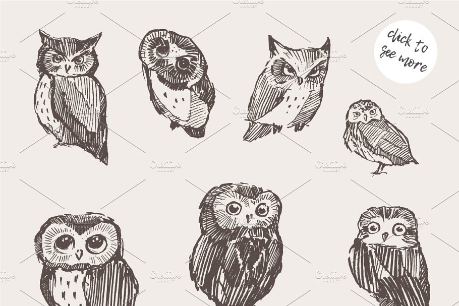 猫头鹰素描剪贴画 Sketches of owls插图(1)