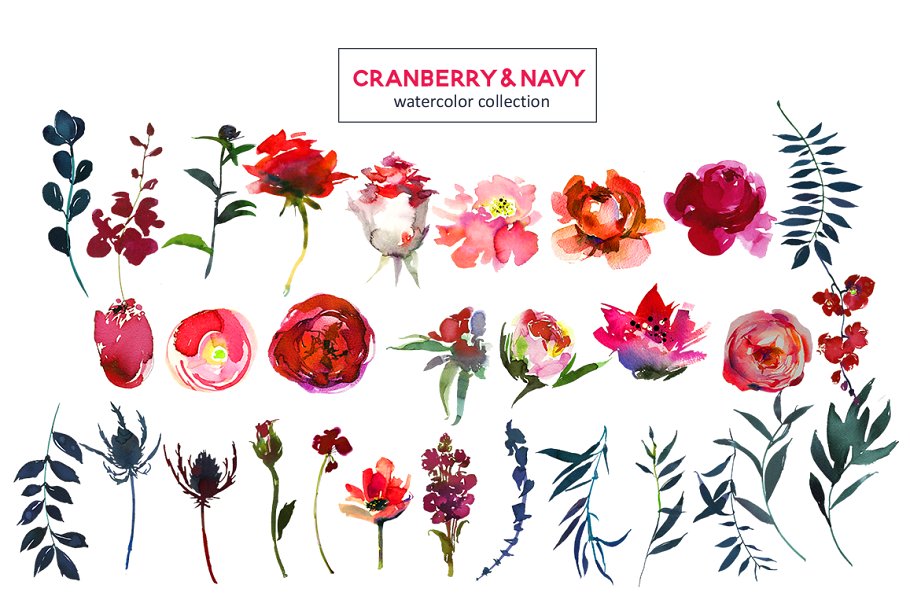 红色海军蓝波希米亚水彩花卉剪贴画 Red Navy Boho Watercolor Flowers插图(6)