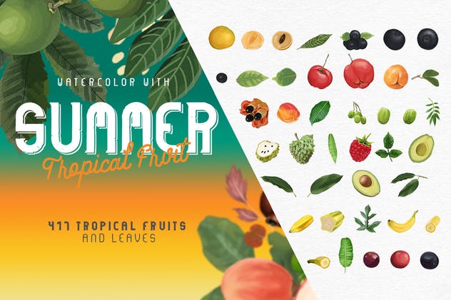 夏日热带水果水彩插画 Watercolor with summer – Tropical Fruit插图(12)