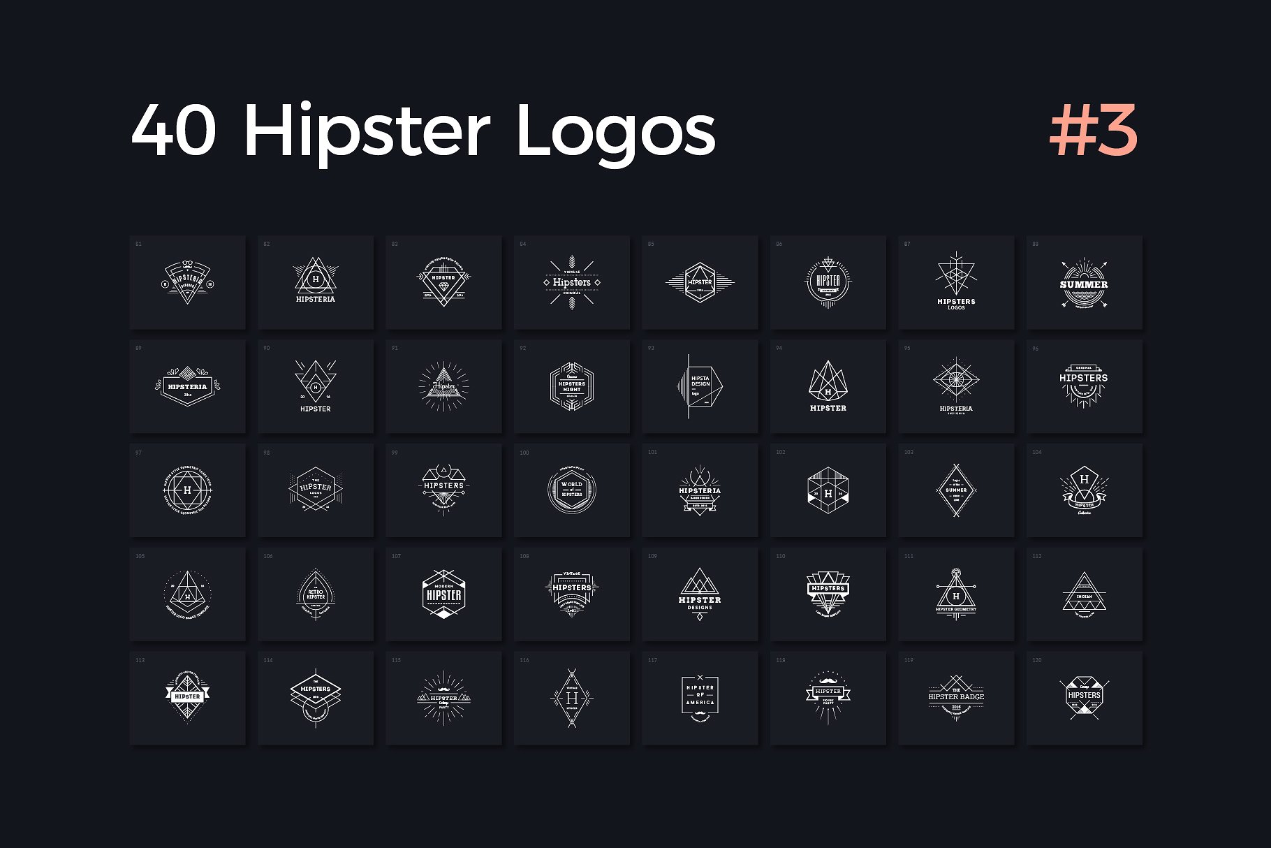 40个多用途时髦Logo模板V.3 40 Hipster Logos Vol. 3插图