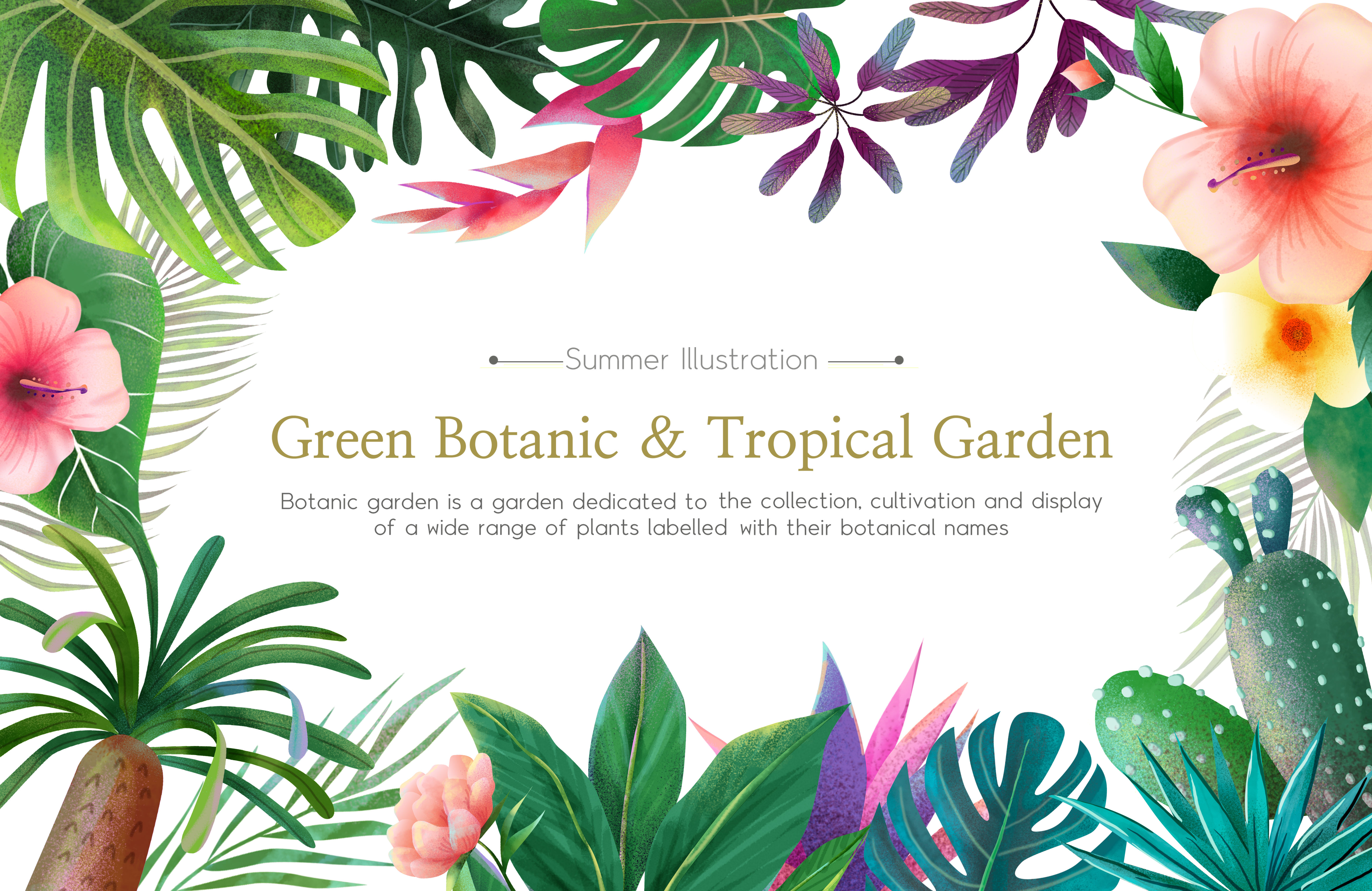 热带绿色植物花卉插画设计素材插图
