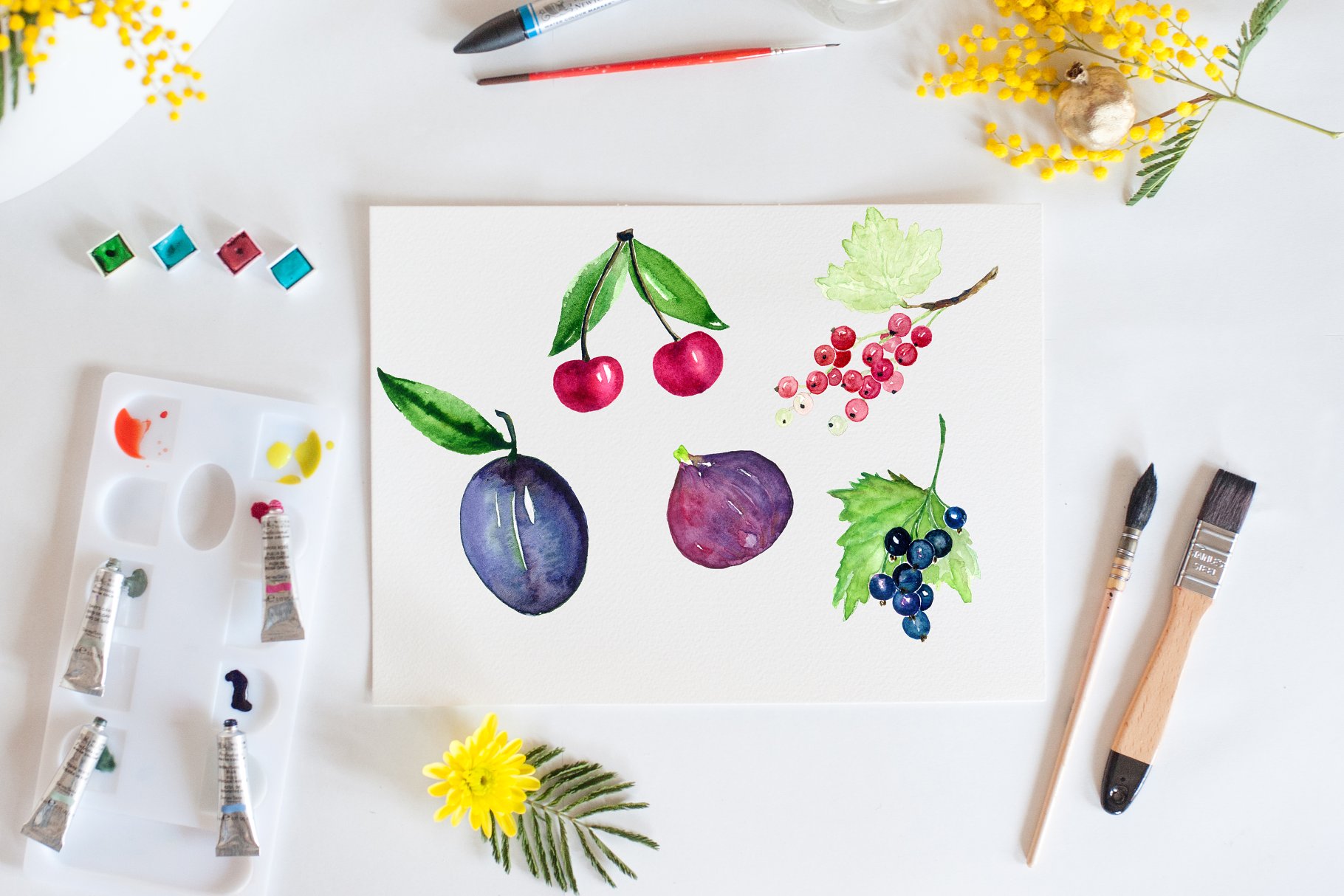 水果&浆果水彩剪贴画 Fruits & berries watercolors插图(2)