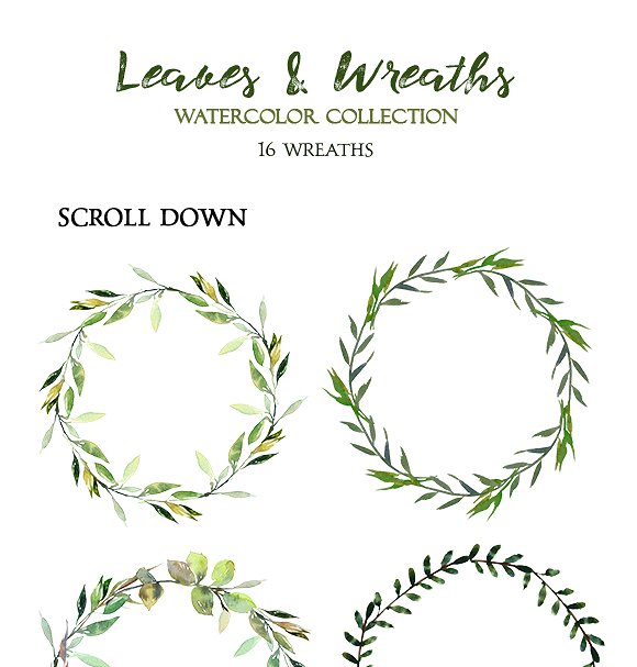 树叶花圈水彩套装 Leaves and Wreaths Watercolor Set插图(4)