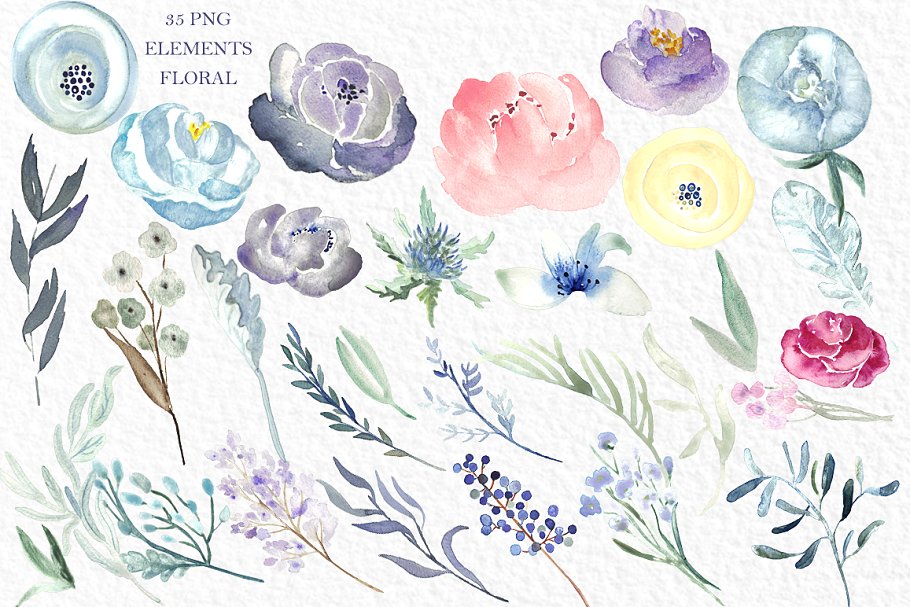 淡蓝色牡丹水彩花插画 Soft Blue Peonies Watercolor flowers插图(3)