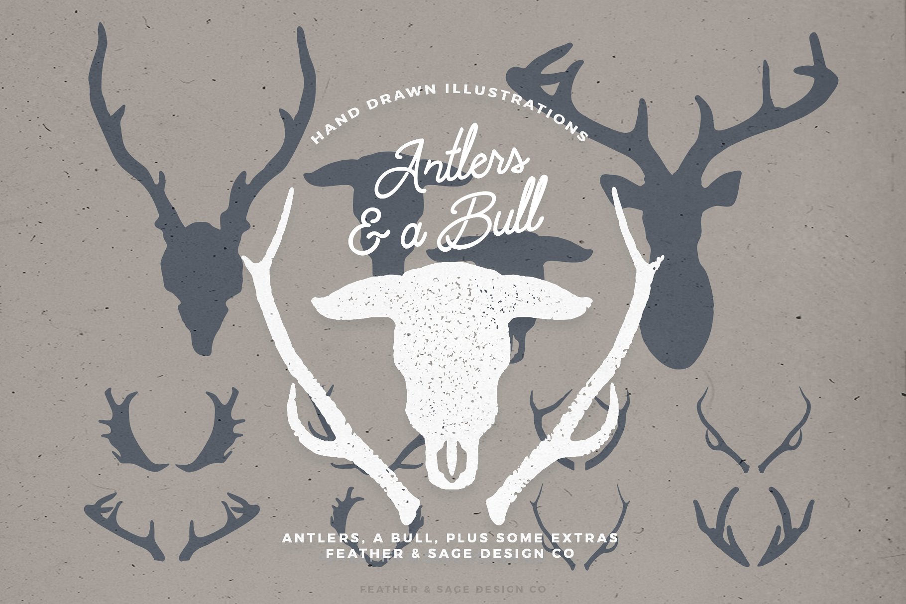 鹿角＆公牛手绘矢量插图 Antlers & a Bull Vector Graphics插图