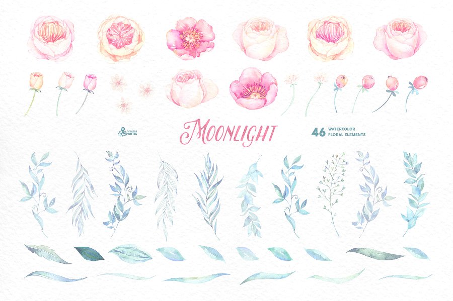 月色水彩花卉设计套装 Moonlight. Floral collection插图(4)