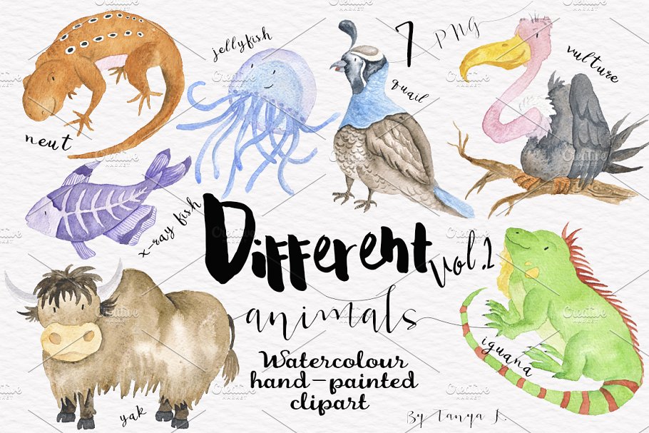 水彩动物剪切画 Different Watercolor Animals Vol.2插图