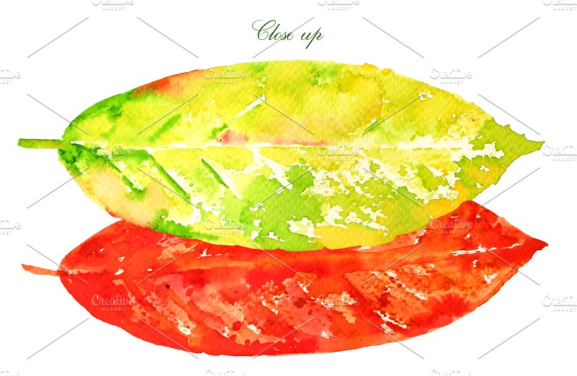 水彩多彩树叶剪贴画 Watercolor Colorful Leaves Clipart插图(1)
