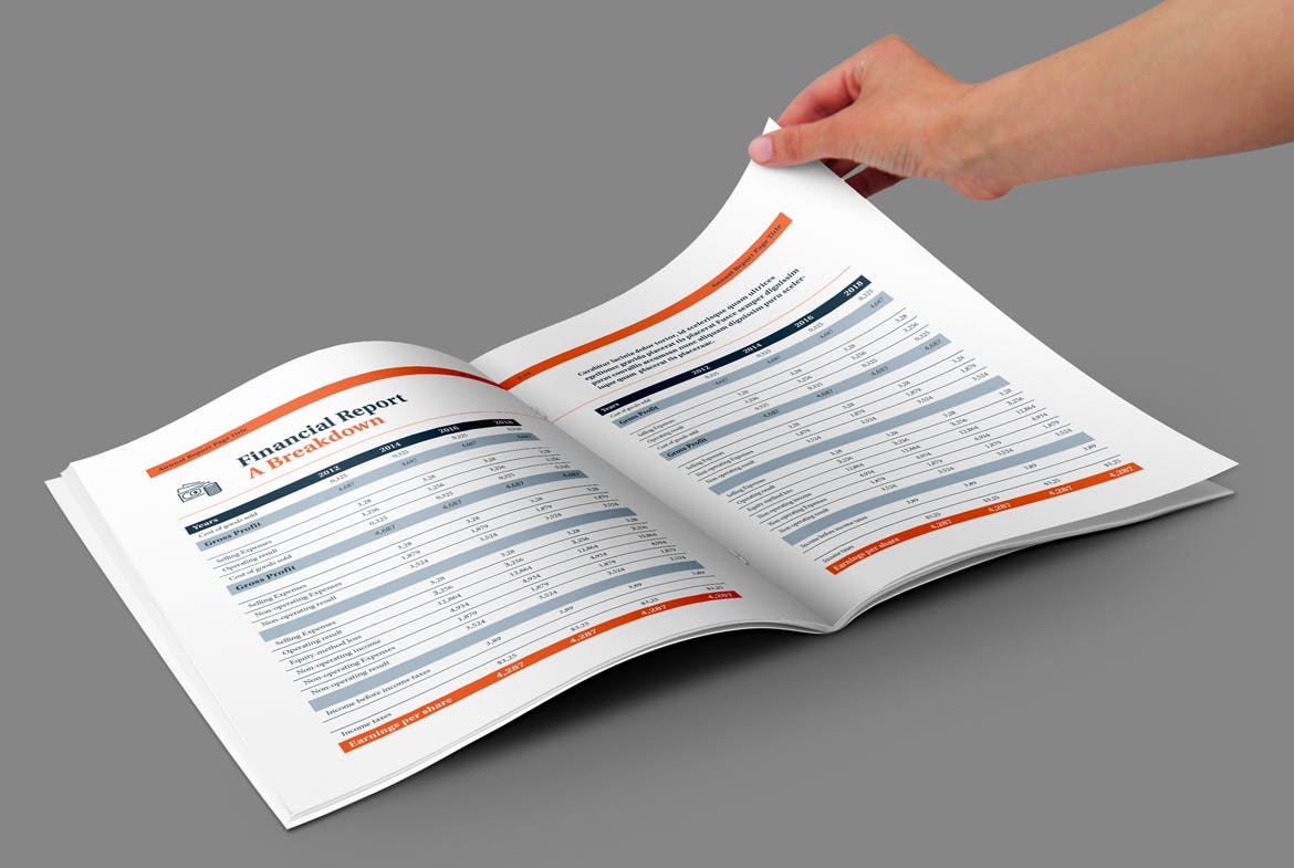 企业/行业年度报告（画册）设计模板 Annual Report Template插图(11)