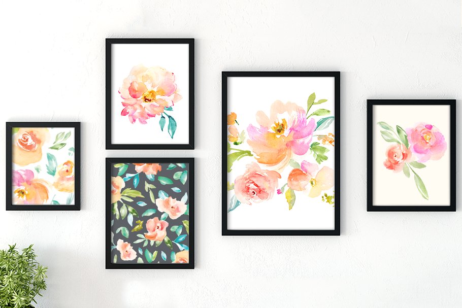 水彩花卉插画素材套装 Peonia Watercolor Flowers Set插图(6)