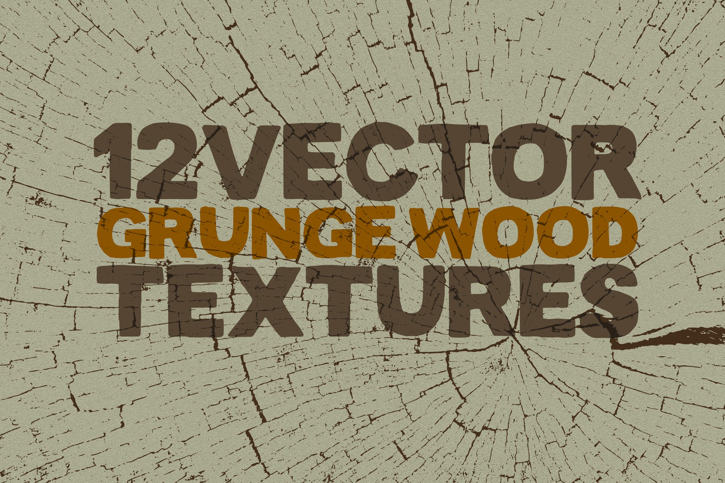 12个实木木纹矢量纹理背景素材 Vector Grunge Wood Textures x12插图