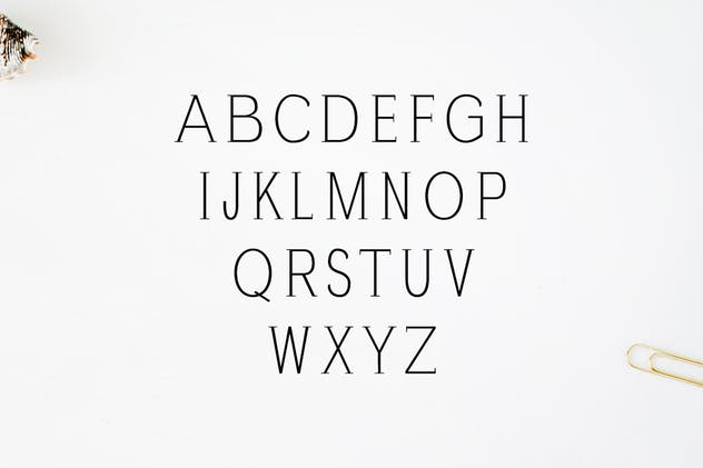 现代独特设计风格英文标语衬线字体 Zayley Serif Regular Font插图(1)