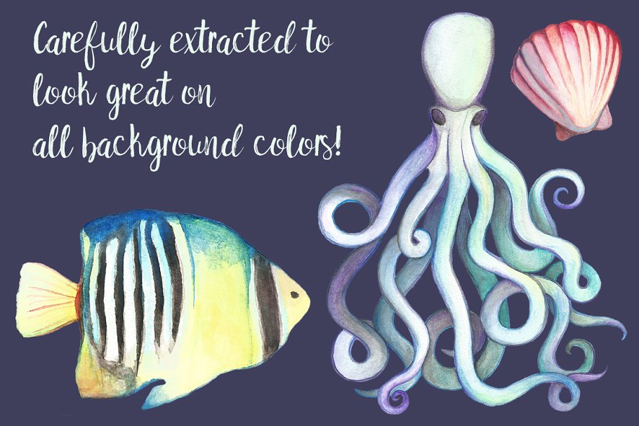 手绘水彩海洋生物设计元素 Watercolor Sea Life Clipart Bundle插图(1)