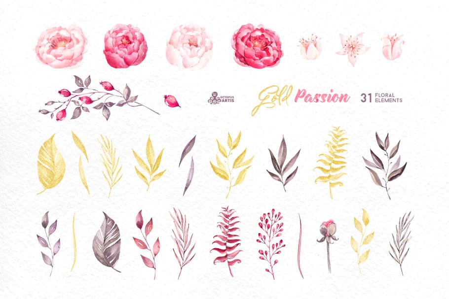 激情黄金花卉水彩插画集 Gold Passion. Floral collection插图(2)