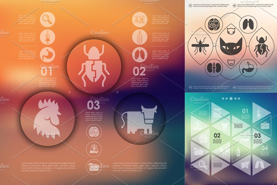 9个兽医/生物科技信息图 9 veterinary infographic插图(1)