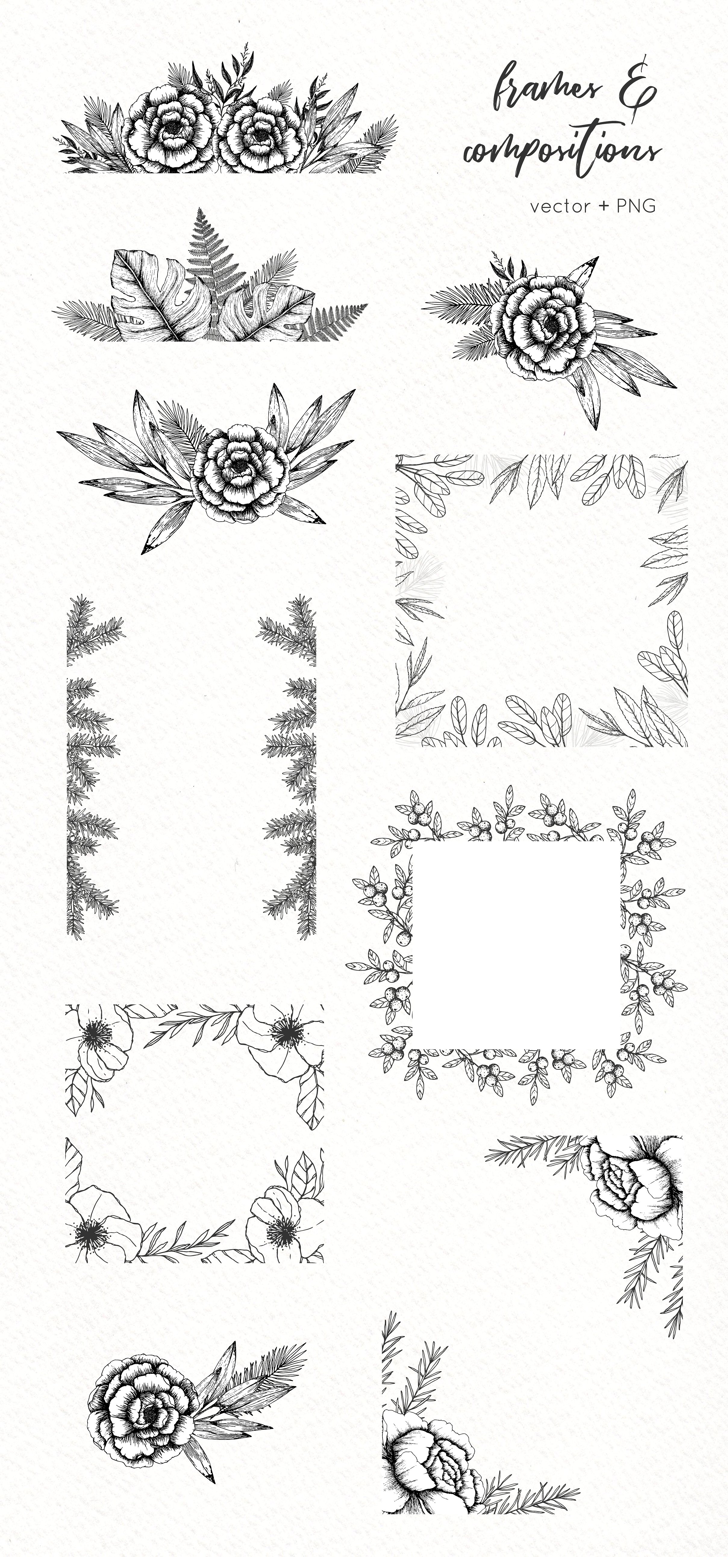 手绘植物矢量插图包插图(2)
