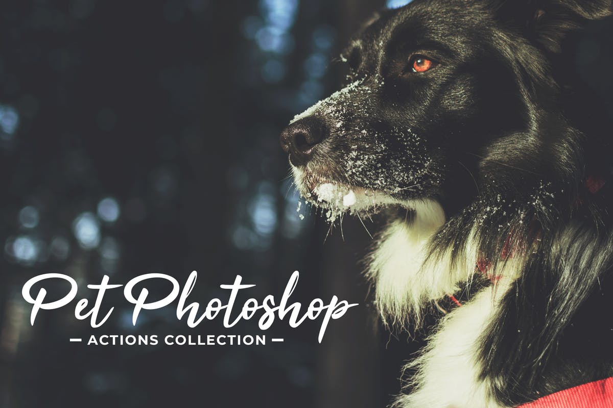 可爱宠物摄影照片处理效果PS滤镜插件 Pet Photoshop Actions Collection插图
