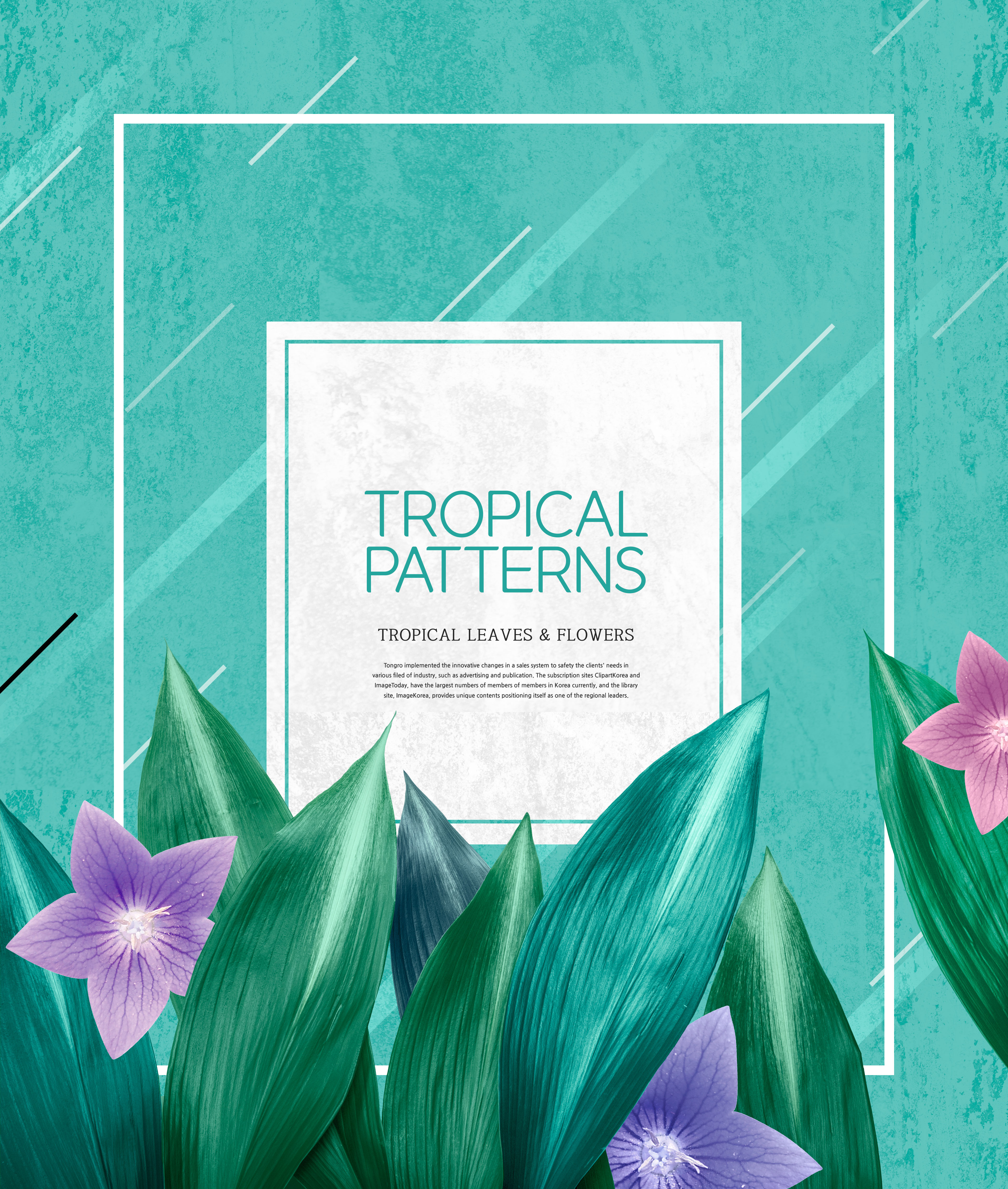 热带植物叶子&花卉图案海报设计素材插图(5)