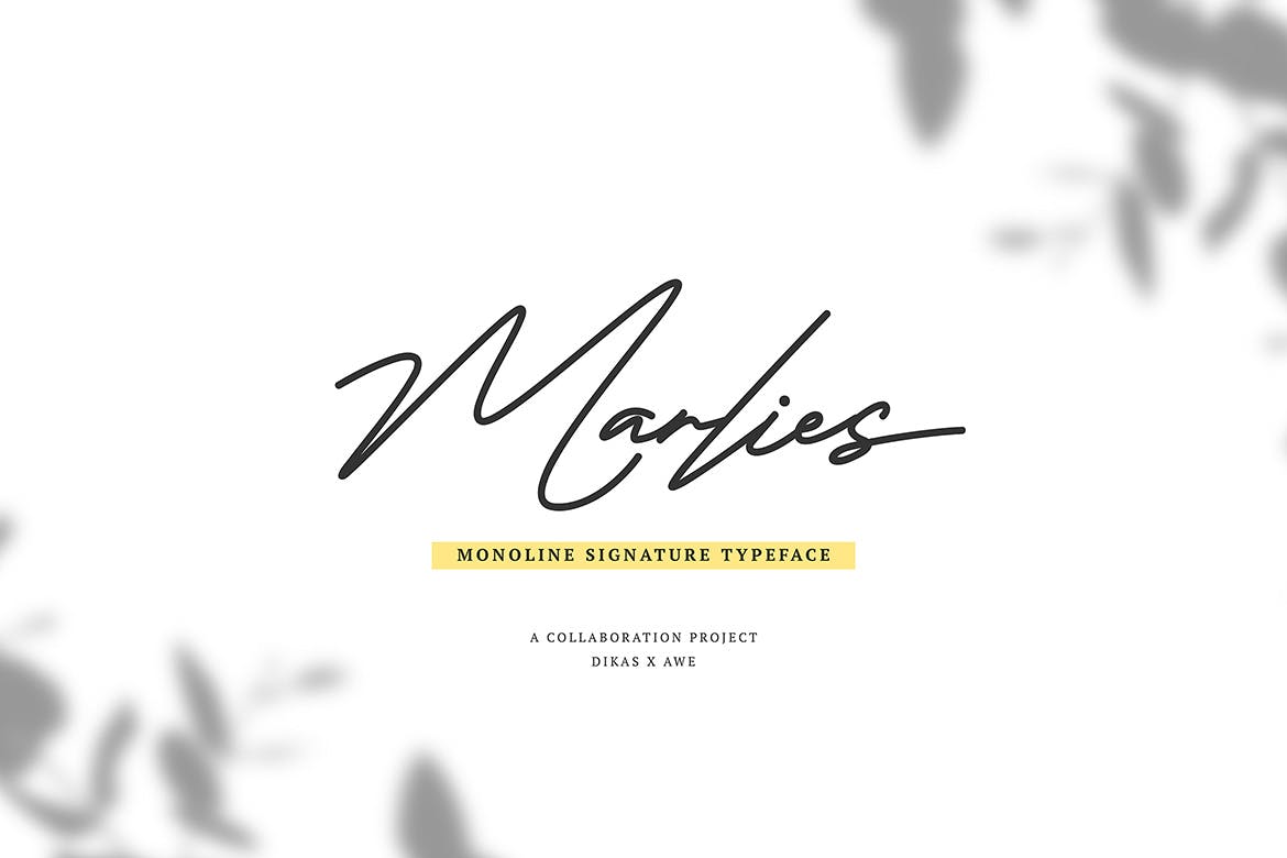 Monoline风格英文钢笔签名字体 Marlies Monoline Signature插图(1)