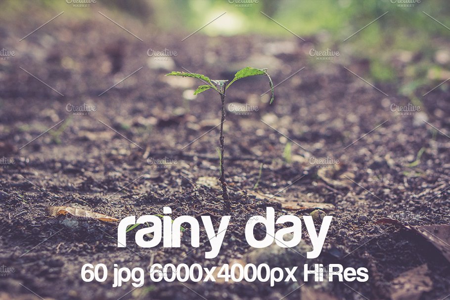高清下雨天景色照片 Rainy day photo pack插图(3)