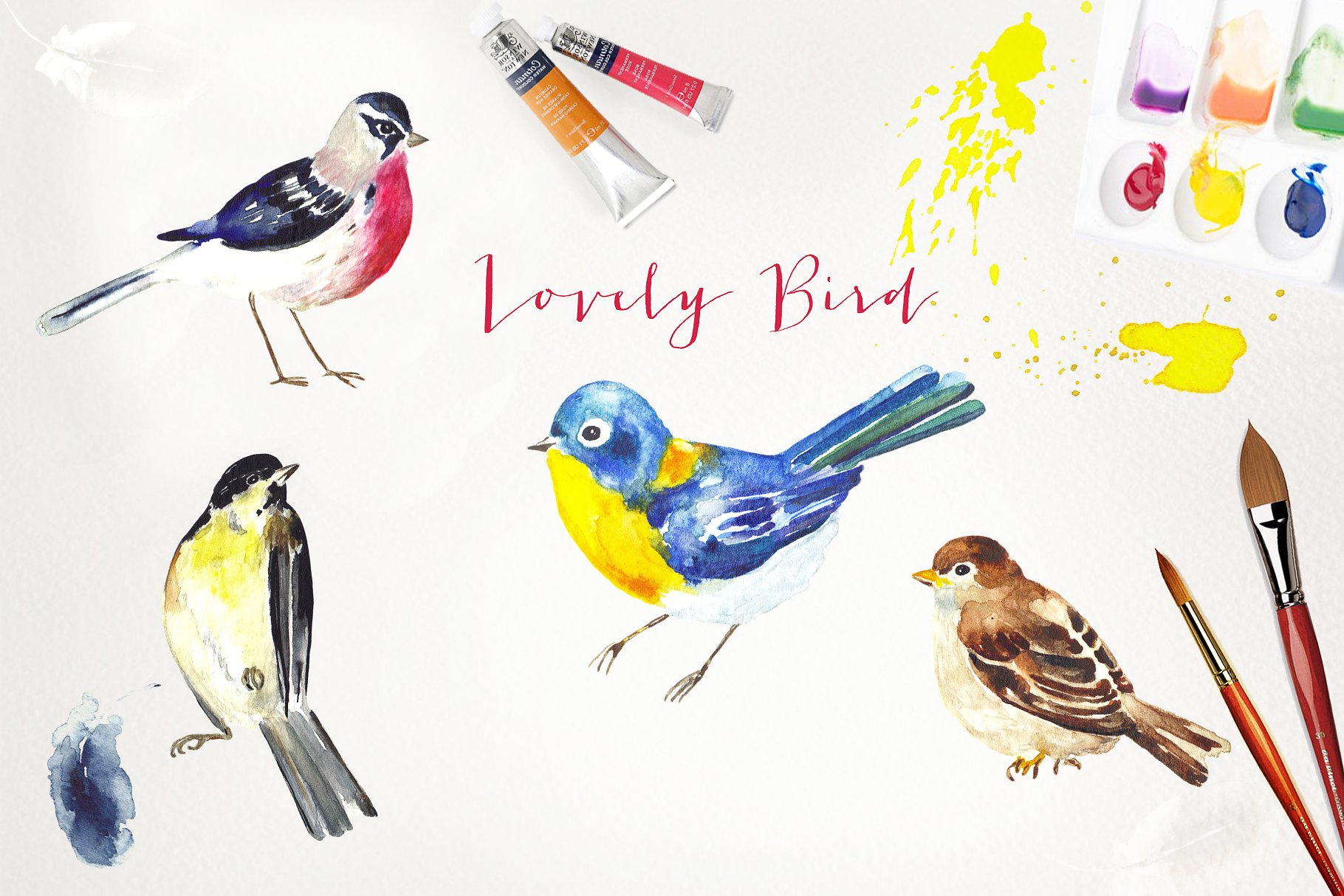 可爱彩色小鸟水彩剪贴画 Lovely birds.Watercolor clipart插图(4)
