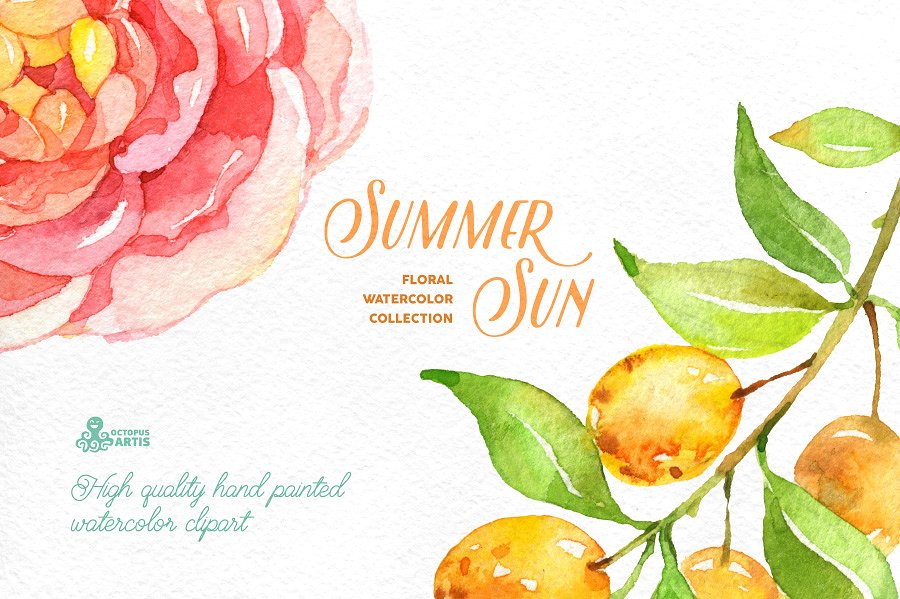 夏日太阳色水彩花卉插画 Summer Sun. Floral Collection插图(2)