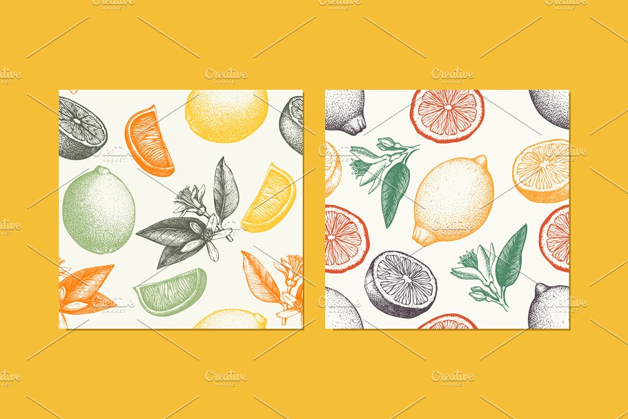 手绘素描柑橘类水果矢量无缝纹理 Vector Citrus Fruits Patterns Set插图(1)