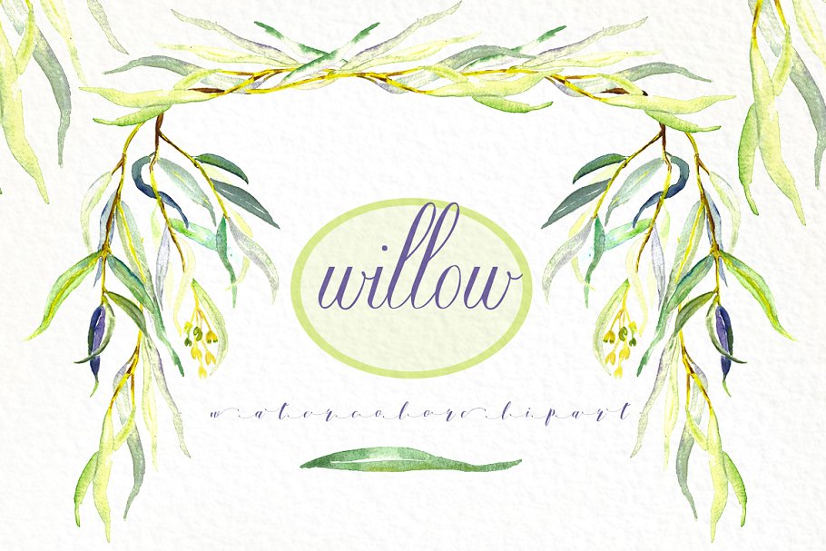 柳枝水彩剪贴画 Willow branches watercolor clipart插图(2)
