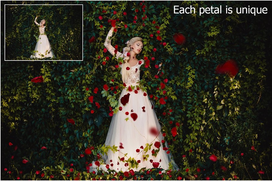5K高清分辨率红色玫瑰花瓣叠层背景 5K Red Rose Petals Overlays插图(1)
