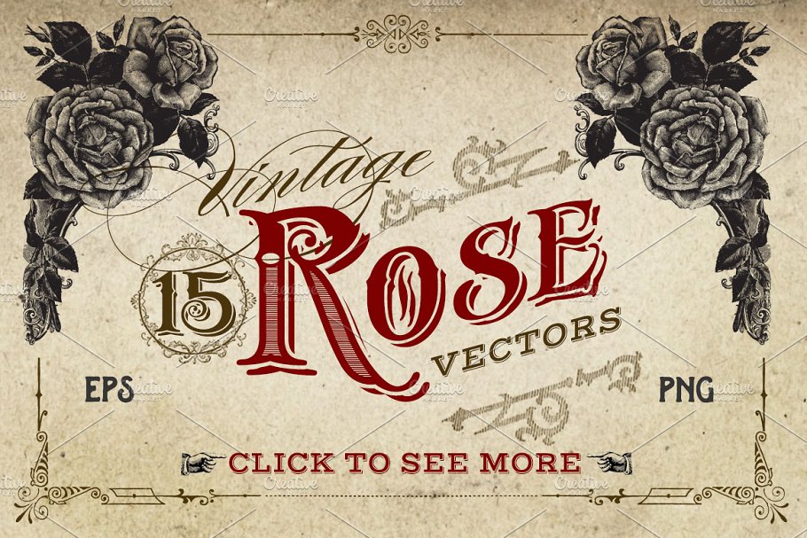 复古冷艳手绘玫瑰矢量插画 Vintage Rose Vector Graphics插图