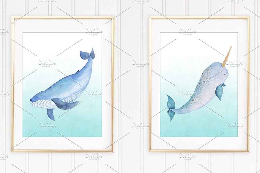 鲸鱼和海洋动物水彩插画 Watercolor Whales and Friends Set插图(4)