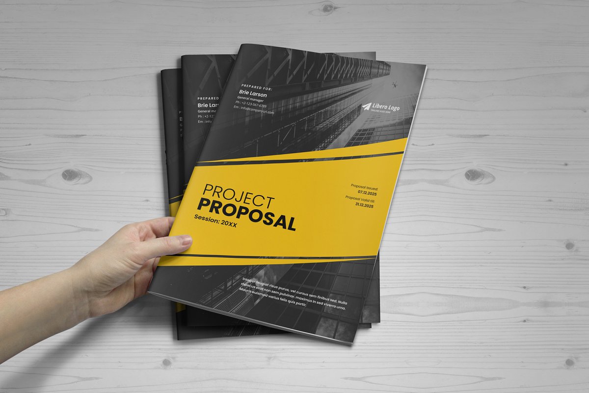商业项目业务提案手册设计模板插图(1)