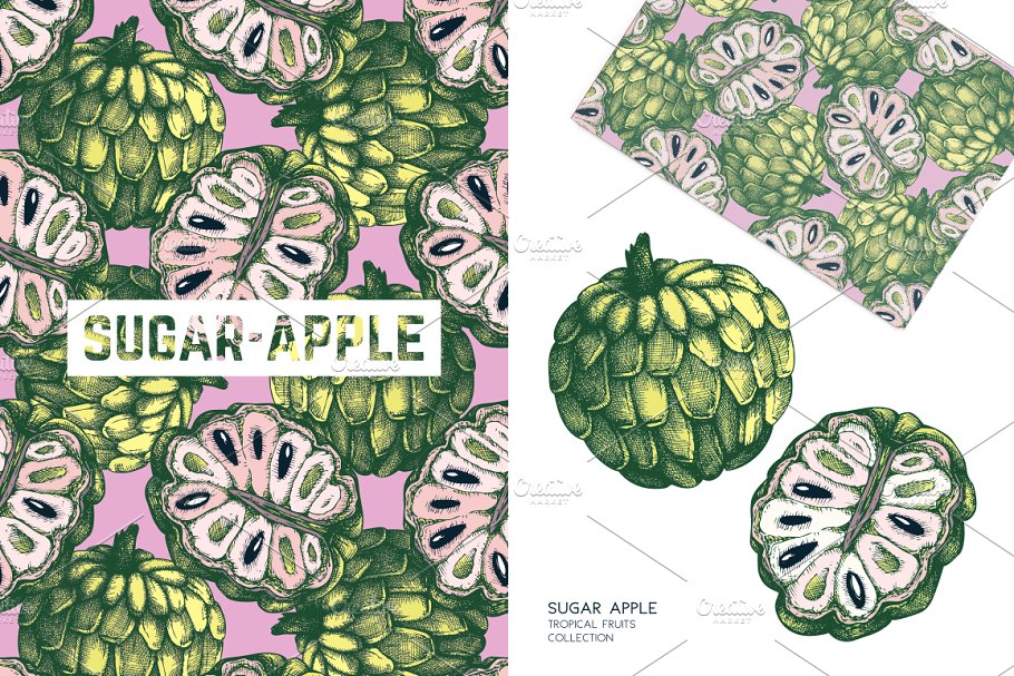 热带水果和植物图案纹理 Tropical Fruits & Plants Patterns插图(5)