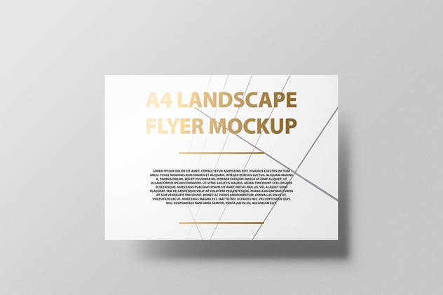 A4横向铝箔冲压工艺传单海报样机 A4 Landscape Flyer / Poster Mockup – Foil Stamping插图(7)