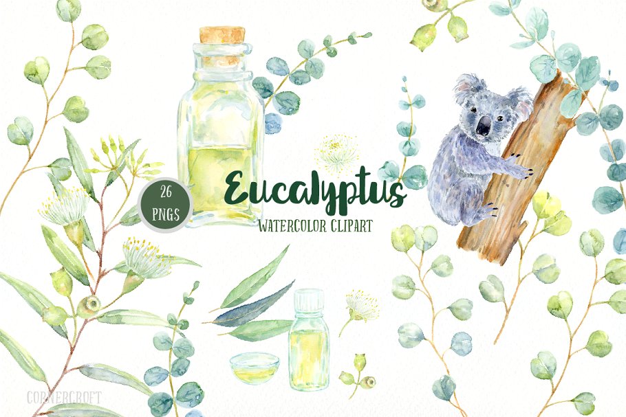 桉树与考拉水彩剪贴画 Watercolor Eucalyptus Koala Clip Art插图(1)