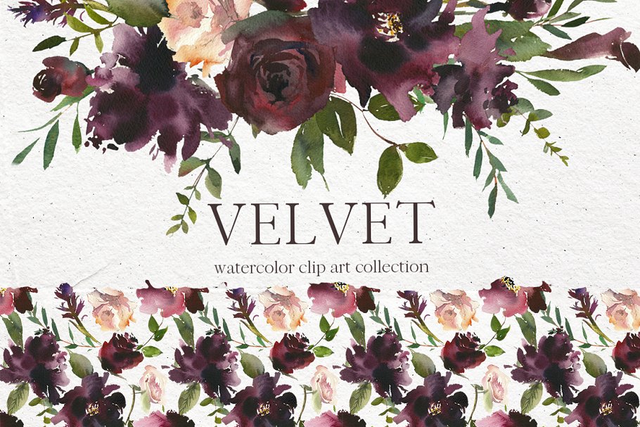 天鹅绒-水彩花卉剪贴画 Velvet – Watercolor Floral Clip Art插图
