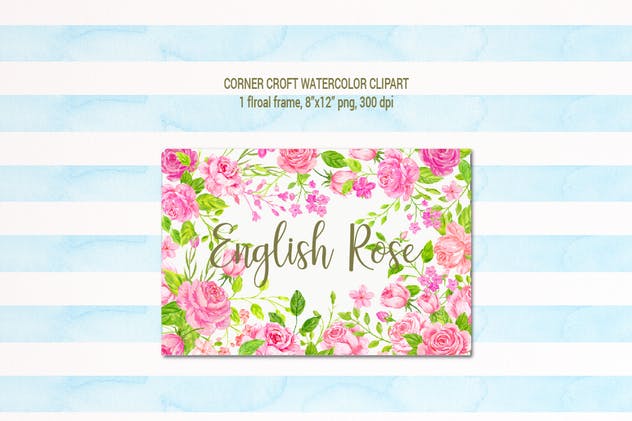 英国玫瑰水彩剪贴画素材 Watercolor Clipart English Rose插图(4)