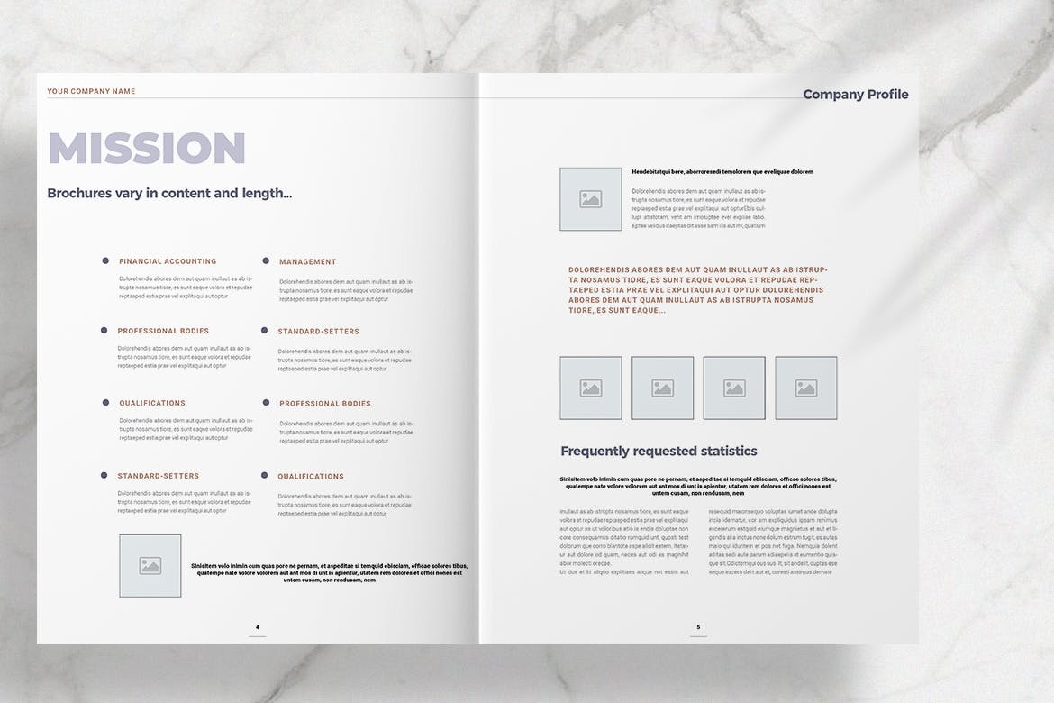 2020年企业产品目录/企业画册设计模板 Company Profile 2020插图(2)