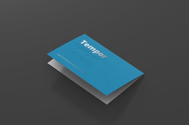 折叠型企业名片卡片平铺样机 Folded Business Card Mockup – Horizontal插图(2)
