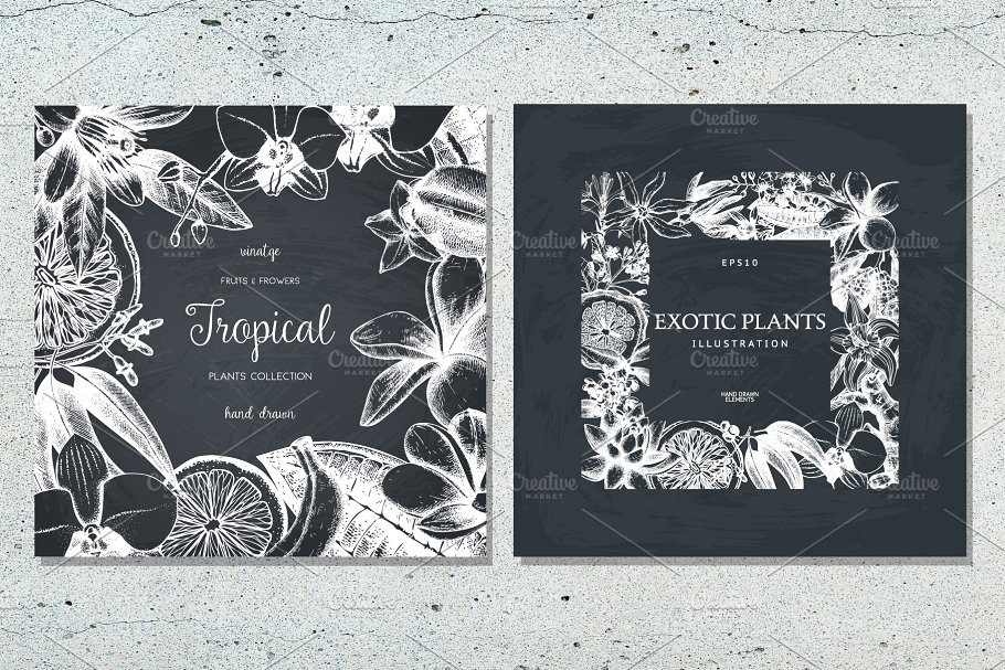 复古风奇花异草设计素材集 Vinatge Exotic Plants & Flowers Set插图(5)