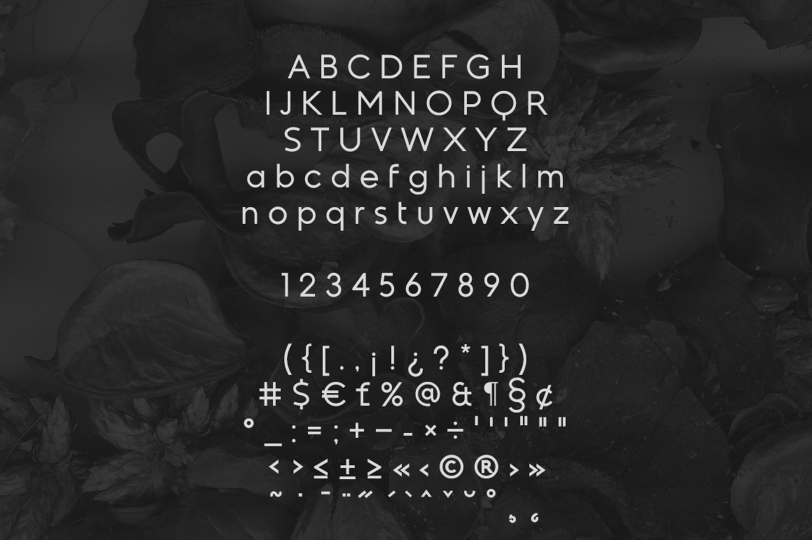 几何形状无衬线字体 Kontora typeface插图(6)