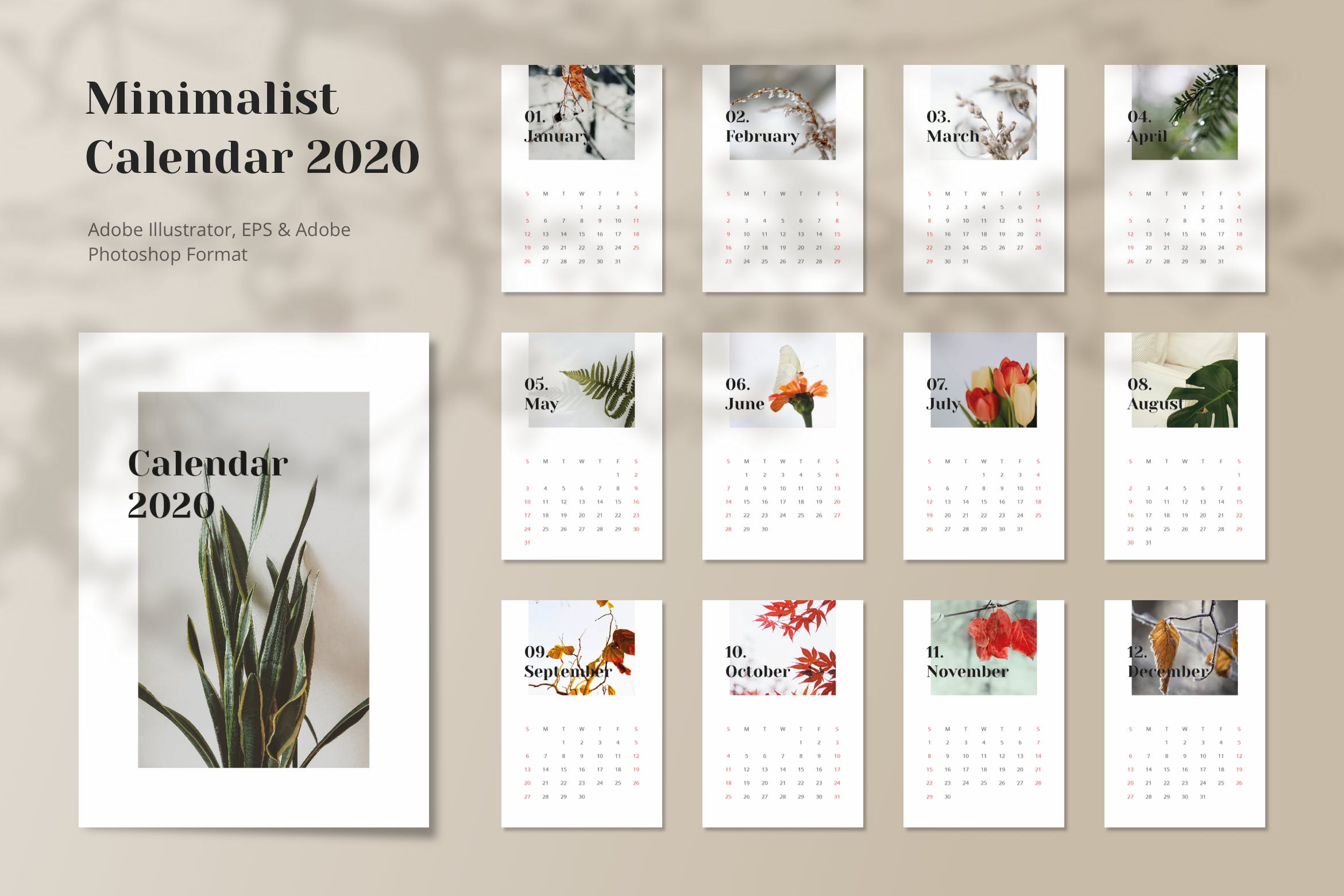 极简设计风格2020年日历年历设计模板 Calendar 2020 Minimalist插图