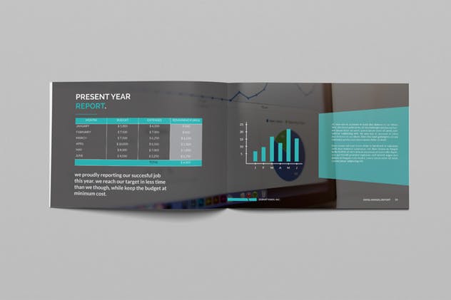 部门/企业/行业年终报告画册设计模板 Annual Report插图(7)
