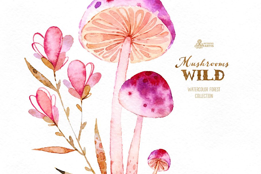野生蘑菇森林元素素材集 Wild Mushrooms. Forest Collection插图(4)